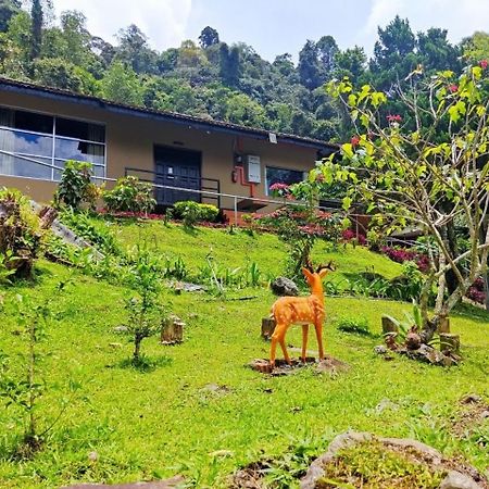 J Residence Kundasang Exterior photo
