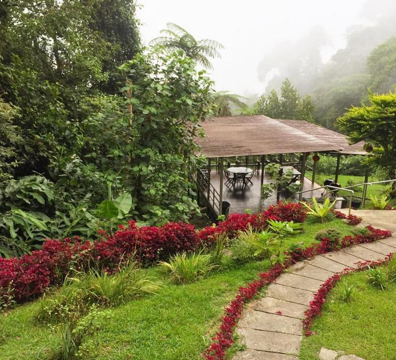 J Residence Kundasang Exterior photo