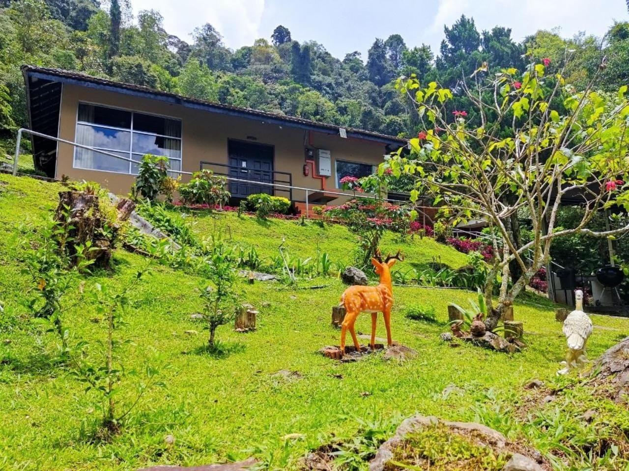 J Residence Kundasang Exterior photo